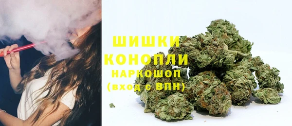 сатива Горно-Алтайск
