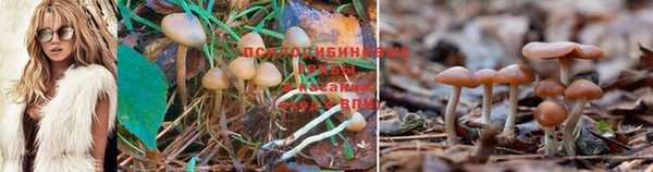 ешки Горнозаводск